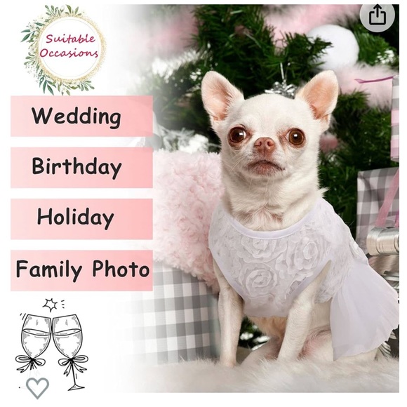 Like New Condition - White Lace Dress for Small Pet - Picture 4 of 8